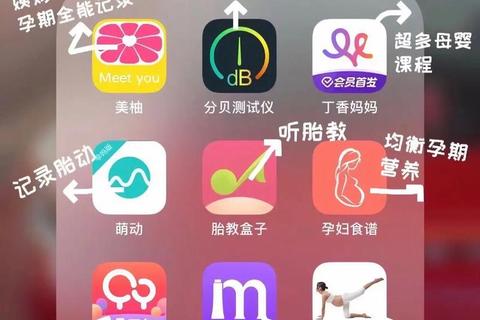 精准推荐超实用孕期软件app哪个好用新手妈妈贴心必备指南 精准推荐超实用孕期软件app哪个好用新手妈妈贴心必备指南
