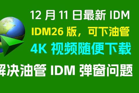 IDM软件极速下载新纪元智能高效加速新境界