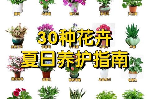 新手必看家庭种植十大技巧与养护指南