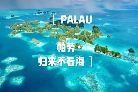 帕劳自由行全攻略:畅游绝美海岛与必玩体验 帕劳自由行全攻略:畅游绝美海岛与必玩体验