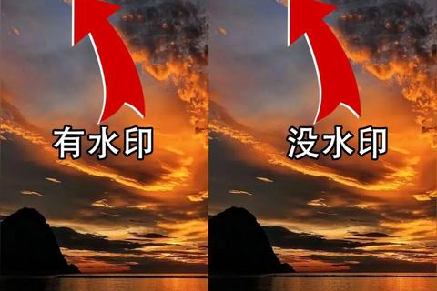 超强免费版视频去水印软件极速一键完美去除水印