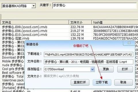 下载种子软件