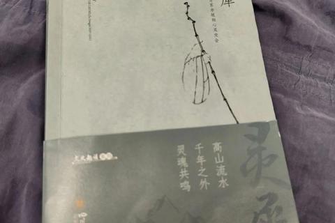 《灵犀洞见未来：奇幻占星软件精准解锁你的专属星途命盘》