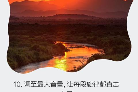 畅享海量无损音质免费下载歌曲的音乐软件解锁极致听觉盛宴 畅享海量无损音质免费下载歌曲的音乐软件解锁极致听觉盛宴