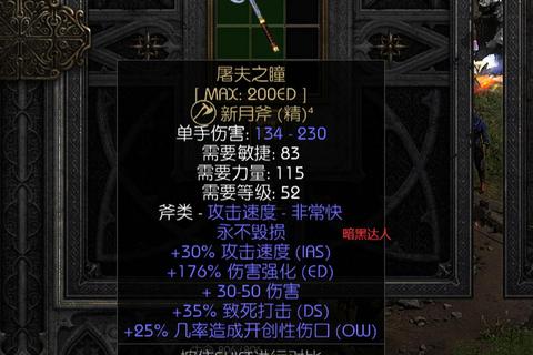 《暗黑2终极指南：职业装备与通关技巧全解析》