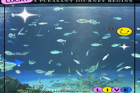炫彩萌趣怪怪水族馆中文版奇幻探秘灵动之旅 炫彩萌趣怪怪水族馆中文版奇幻探秘灵动之旅