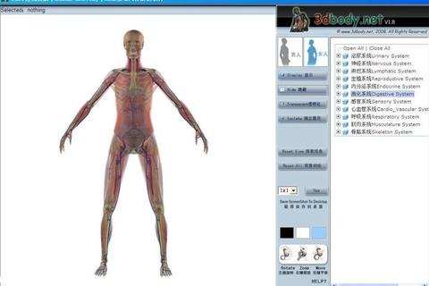 全方位精准解析3Dbody解剖软件开启人体奥秘新视界