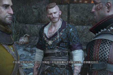 巫师3 石之心 攻略_《巫师3石之心全流程攻略：任务解析与隐藏要素指南》