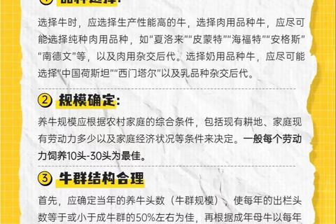 白牛制胜秘籍：高效攻略技巧与实战策略全解析