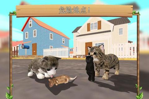 轻松畅享极速下载超萌猫咪神器APP猫咪软件下载一键获取