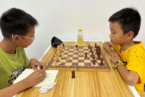 智胜巅峰畅享极速对弈的国际象棋软件新纪元