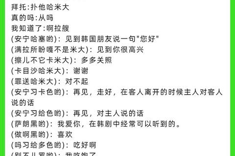 超实用中文翻译韩文转换器轻松实现精准高效双语互译