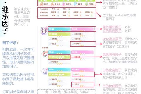 赛马物语攻略;赛马物语制霸赛场全攻略与进阶技巧详解