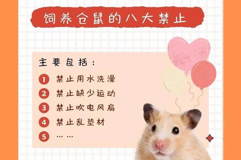 萌宠仓鼠饲养指南：新手必知的十大贴心技巧