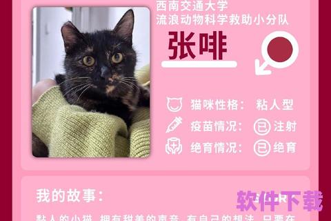 《猫咪官方APP网页版：让你随时随地享受宠物的温暖》