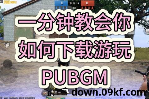 pubg破解版下载