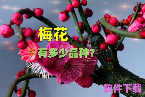 梅花app下载网址，梅花app下载网址是多少