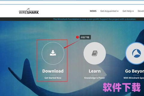 Wireshark下载：网络数据分析利器，助你轻松掌握数据流动