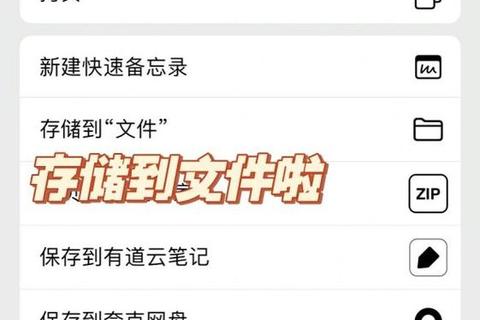苹果下载的文件