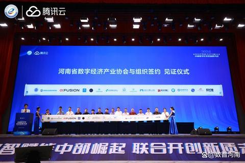 璀璨腾飞中的河南省软件服务业协会引领数字未来新纪元