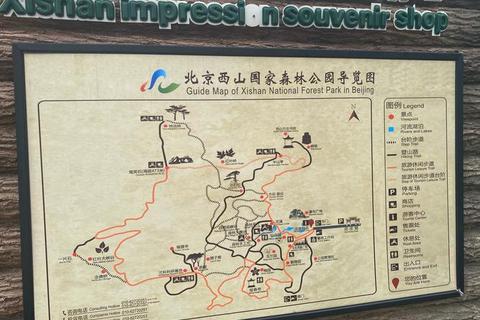 林中路攻略·幽林探径全攻略：徒步路线解析与实用指南