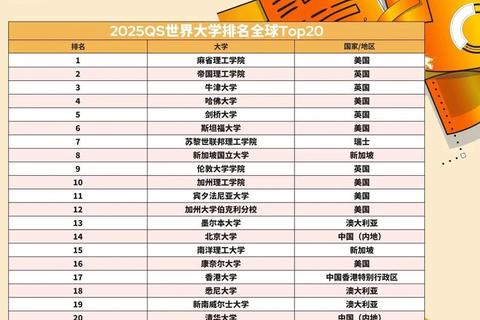 超强性能加持2025热门网络排名优化软件巅峰精选