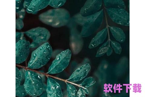 苍绿墨玉壁纸下载，苍墨是什么颜色