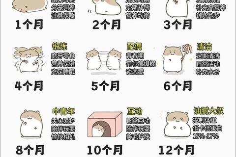 萌宠仓鼠饲养指南：新手必知的十大贴心技巧