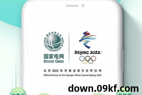 网上国网app下载