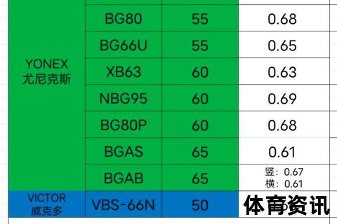 羽毛球拍穿线多少钱一次_专业穿线服务价格解析及影响因素说明
