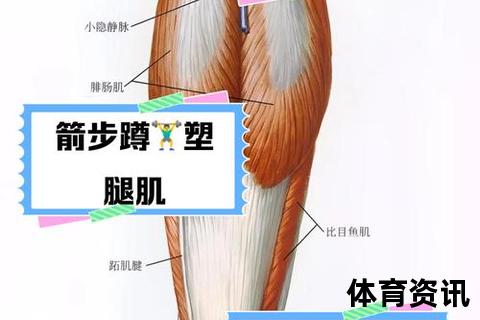 腿部力量提升指南：科学训练+有效动作全解析