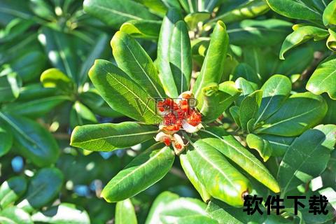 海桐app下载