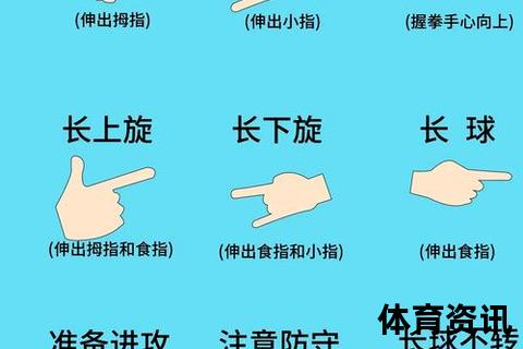 乒乓球入门指南：零基础快速掌握发球_接球与步法技巧