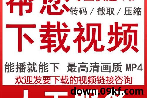 视频下载网