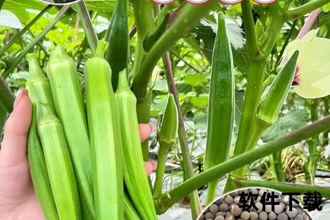 秋葵视频安卓版下载_最新官方安装包获取与使用指南