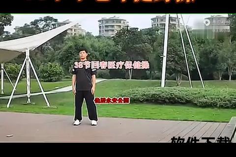 38节回春医疗保健操下载_医疗养生锻炼视频免费获取指南  第1张