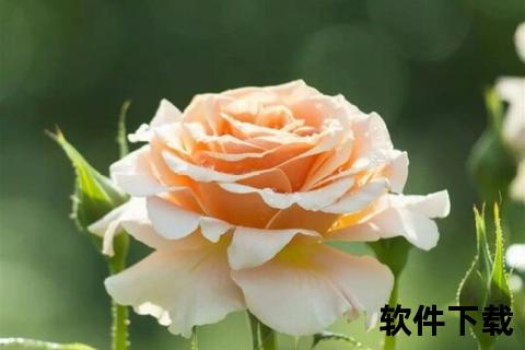 360壁纸下载_海量高清桌面背景图片免费获取指南