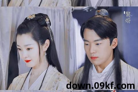 赘婿电视剧下载