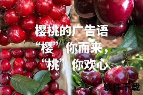 樱桃视频免费下载_高清影视资源获取方法及步骤详解