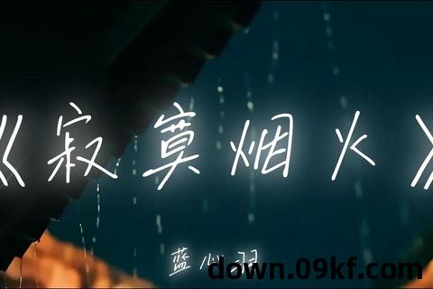 寂寞烟火mp3下载