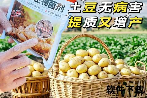 土豆下载安装教程-详细步骤解析与常见问题处理指南