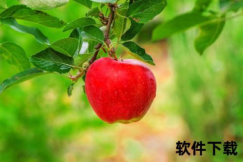 苹果