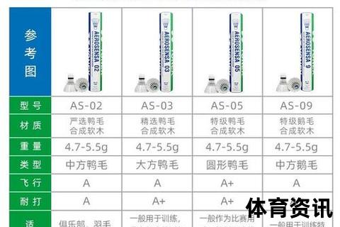 羽毛球耐打品牌推荐-十大热门球款实测对比及选购指南