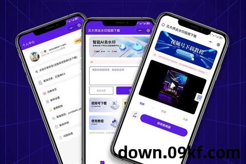 视频下载器