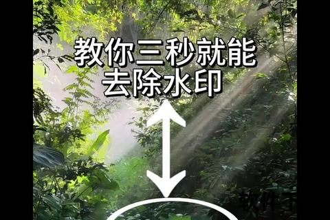 微信小程序视频下载指南：无水印保存与实用技巧解析