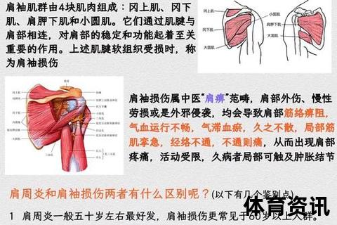 肩伤恢复指南：科学锻炼与日常护理要点