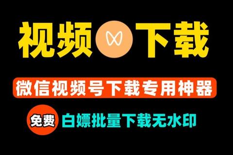 天天视频下载APP官方版-畅享海量高清资源便捷安全一键获取