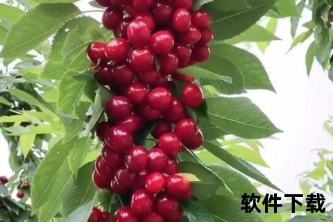 樱桃视频免费下载_高清资源一键获取方法及教程分享