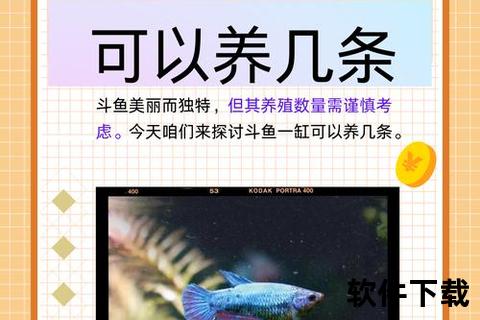 斗鱼下载地址