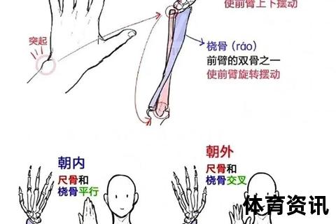 腕力强化训练指南-10个高效动作提升握力与手臂力量